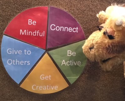 Wellbeing wheel Harold