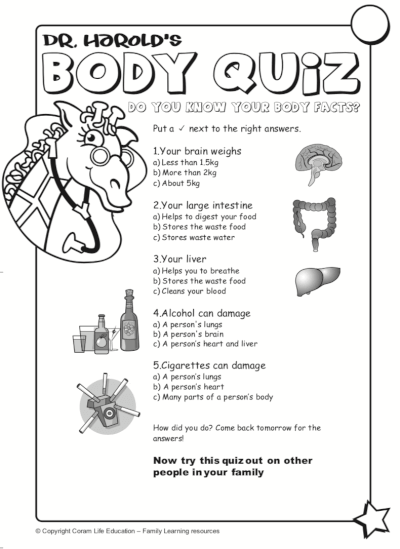 Body quiz activity sheet