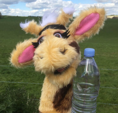 Harold getting ready to run and holding a water bottle