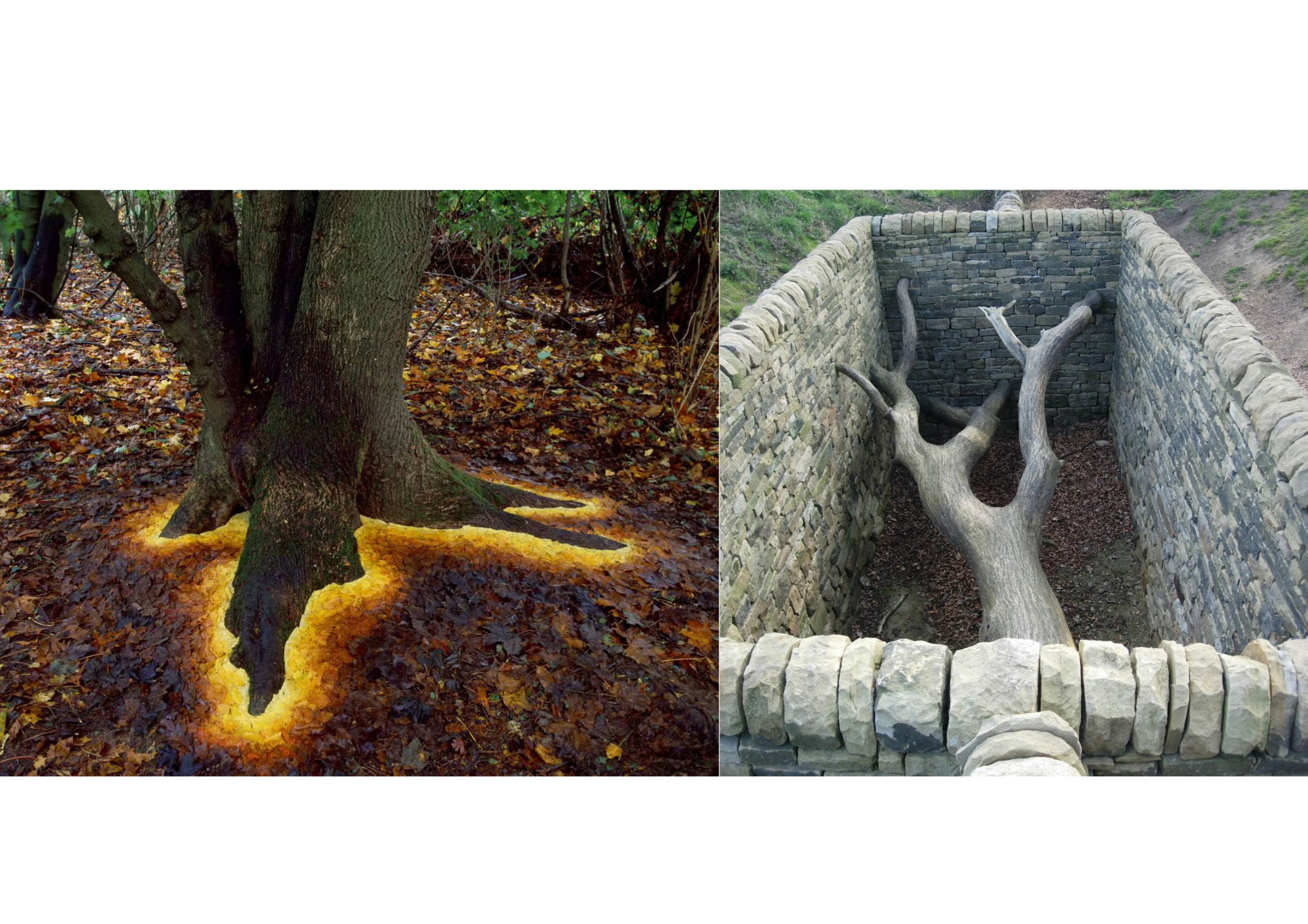 Andy Goldsworthy tree art